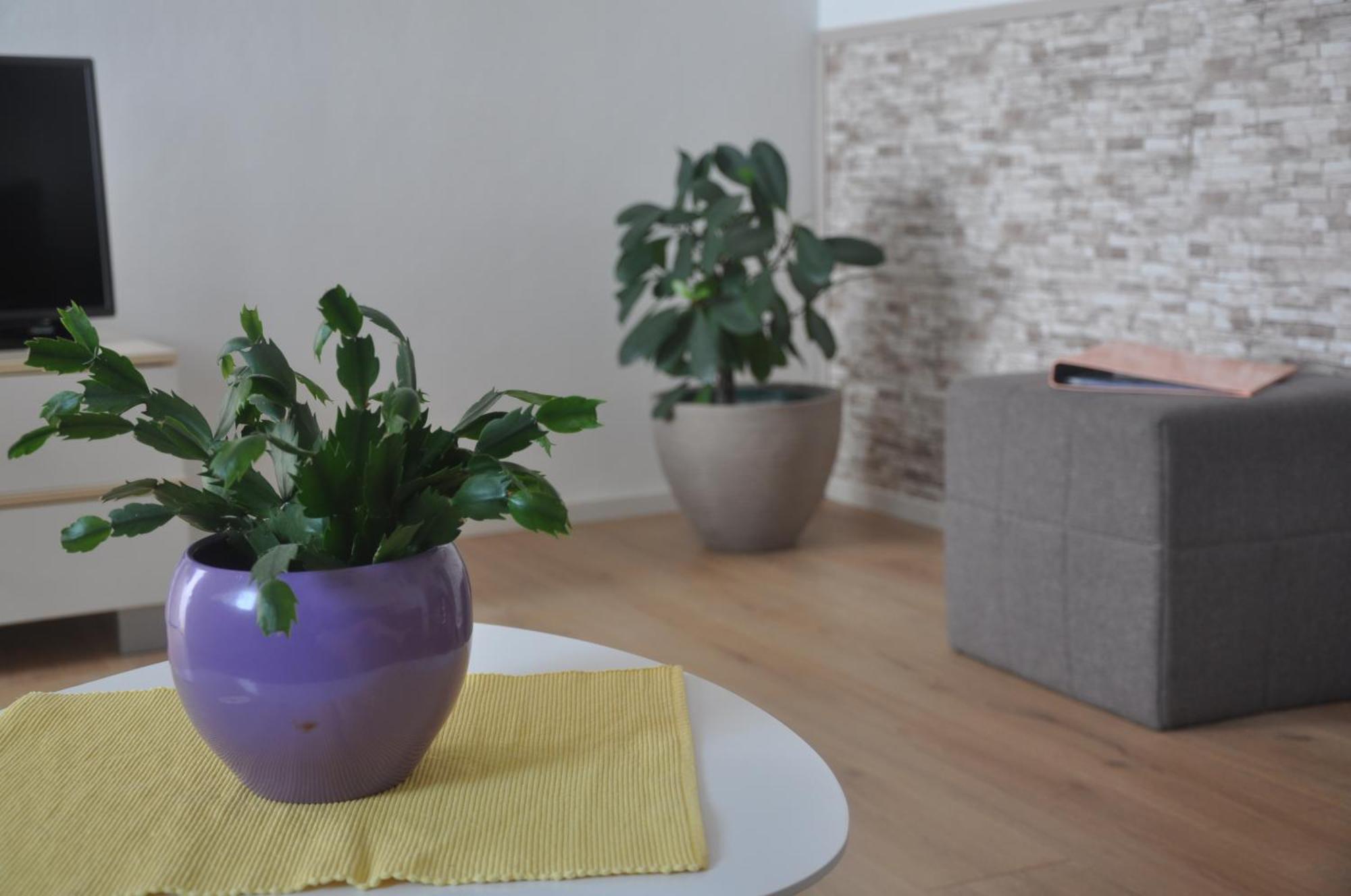 Apartma Mirna
